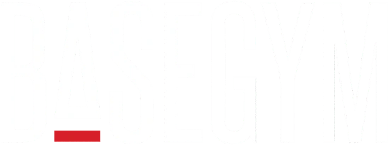 BASEGYM logo